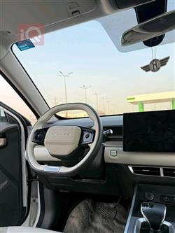 جیتۆر داشينگ